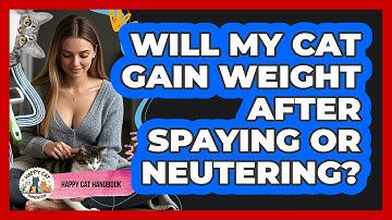Will My Cat Gain Weight After Spaying Or Neutering? - Happy Cat Handbook