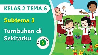 Kelas 2 Tema 6 Subtema 3 Pembelajaran 3