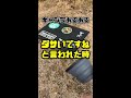 サイトが『ダサい』と言われた時の反応 #キャンプ #あるある #shorts #四国めたん