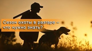 Гость студии - начальник Госинспекции охраны животного и растительного мира Сергей Новиков Гость студии - начальник Госинспекции охраны животного и растительного мира Сергей Новиков
