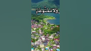 واتس أب ( مشاري العفاسي) سورة الواقعة | نعيم أصحاب اليمين | الكلم الطيب