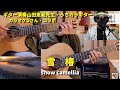 #雪椿 #ギター演奏山田恵範先生 #shorts動画は➡説明欄から #カラオケGさんコラボ