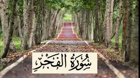 تلاوة هادئة وعذبة بصوت يريح الاعصاب |سورة الفجر | سالم الرويلي |Surah AlFajr