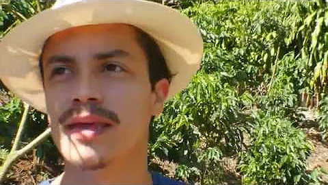 Melvin // Episode 11: NARANJO (Costa Rica Travel V...