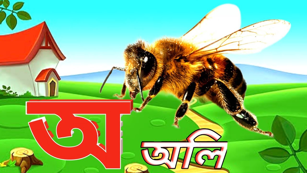 অ আ ই ঈ উ উ ঋ এ ঐ ও ঔ বর্ণমালা শিক্ষা। বাংলা স্বরবর্ণ।Bangla alphabet ...