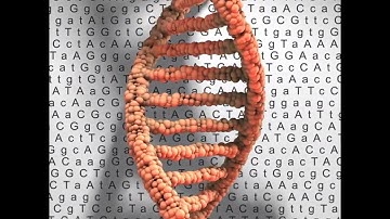 Cracking the Code: How AI is combating Alzheimer