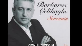 BARBAROS ÇELİKOĞLU - GÖNÜL ÇİÇEĞİM Resimi