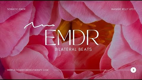 10 Hour Immediate Nervous System Reset | EMDR Bilateral Music for Hormonal Balance