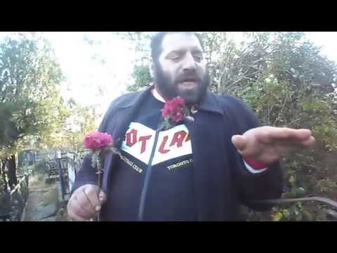 სერგია ასე ამხელა / sergia ase amxela