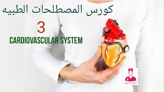 مصطلحات طبيه || الجهاز الدوري [ 3 ] Medical terminology of the cardiovascular system