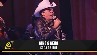 Video thumbnail of "Gino & Geno - Cara De Boi - Ao Vivo"