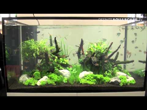 Aquarium ideas from InterZoo 2014 (pt.27) - Aquaflora, Ruinemans Aquarium