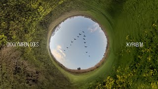 Oxxxymiron, ooes — журавли