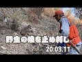 【害獣駆除】猟師と猿の対峙20.03.11