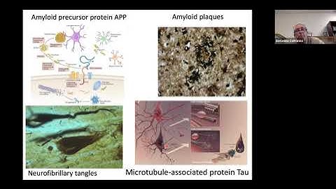 Probing the synaptic plasticity theory of memory: a new experimental strategy - Antonino Cattaneo