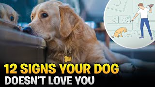 Don't Miss These Warning Signs  Find Out If Your Dog Truly Loves You  Dog Training Tips