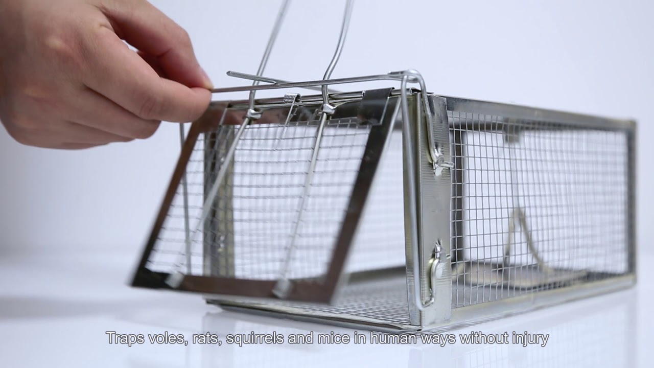 GPCT1086 - Mouse, Animal, Critter Reusable Trap Steel Cage 