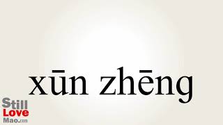 How to Say Fumigation in Chinese