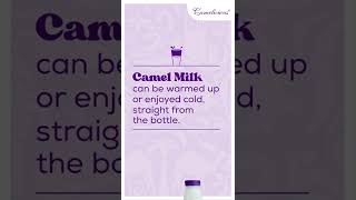 Things you didn't know about Camel milk - 5