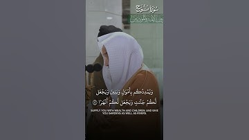ما تيسر من سورة نوح | تلاوة فضيلة الشيخ أ.د.#فيصل_غزاوي شفاه الله