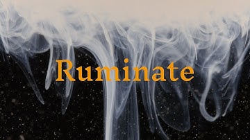 Still Harbours - Ruminate (from Fluorochrome) (Beautiful Chemistry)