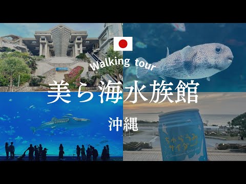 Vlog 沖縄 美ら海水族館｜人気の観光スポット｜ジンベイザメ｜【散歩・観光】Okinawa Churaumi Aquarium, Japan walking tour