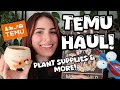THE CUTEST TEMU HAUL! 🧡 chickens for David, mushrooms for me + ALL the plant supplies! 🌿✨️