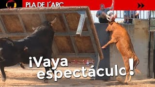 TOROS QUE SALTAN TODO LO QUE SE LES PONE POR DELANTE | PLA DEL ARC 20/07/2018 / GERMÁN VIDAL