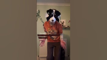Thumbnail of I feel like that’s what this song is about idk 🐾{#furry #costumemask #notatherian #song