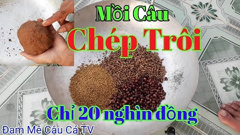 Bài Mồi chuyên câu cá trôi đỏ và trôi trắng Đã Thử Nghiệm Hiệu Quả Và Vi Diệu #63