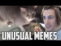 xQc Reacts to UNUSUAL MEMES COMPILATION V122