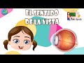 El sentido de la vista | Aula chachi - Vídeos educativos para niños