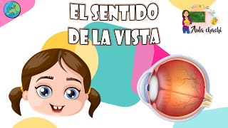 El sentido de la vista | Aula chachi - Vídeos educativos para niños