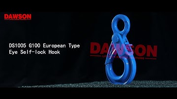 DAWSON DS1005 G100 European Type Eye Self lock Hook, Grade 100 Self locking Hook