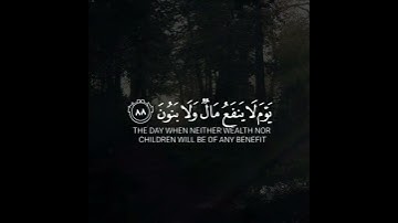 تلاوة خاشعة تفيض عذوبة وجمالا بصوت الشيخ أحمد النفيس