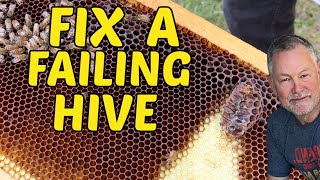 Beekeeping | How To Save A Failing Hive & Get It Through Winter