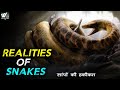 सांपों से जुड़ी ये बातें जो आपको जाननी चाहिए | सांपों की हकीकत | Realities of Snakes