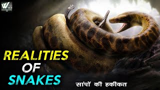 सांपों से जुड़ी ये बातें जो आपको जाननी चाहिए | सांपों की हकीकत | Realities of Snakes