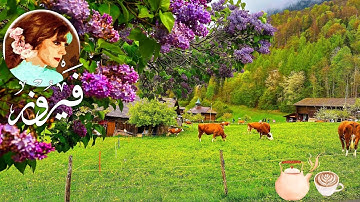 فيروزيات☀️الصباح في سويسرا🛖🏔️أجواء مُمطرة☔️حالمة 🎼| 4K Rainy🌧️walk Switzerland