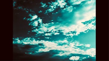 Kidneys Optional - Rectified (Official Video)