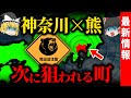 神奈川の熊は人を恐れない？住宅街まで進出する本当の理由と次の危険エリア【ゆっくり解説】