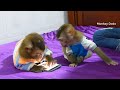 Wow Smart Monkey!! Dodo And Donal Use Smart Phone To Watch Youtube Video And Play In Room