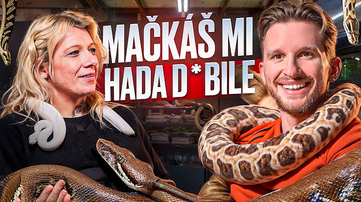 MAČKÁŠ MI HADA D*BILE PO LETECH! JAK ŽIJE?