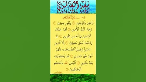 سورة التين #صلاح_بوخاطر #المنصت_للقران