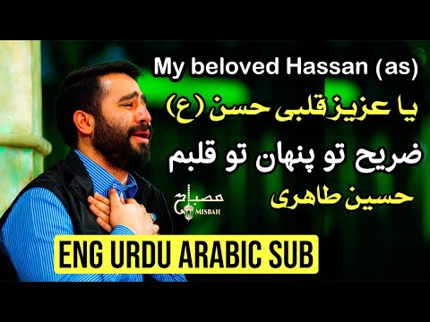 نوحه امام حسن مداحی امام حسن شهادت امام حسن مجتبی ۱۴۰۱ نوحه امام حسن مجتبی  