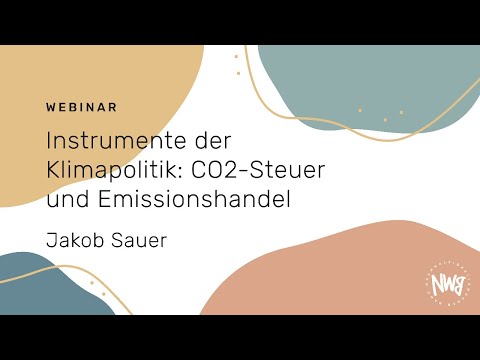 Instrumente der Klimapolitik: CO2-Steuer und Emissionshandel (Jakob Sauer) | NWB