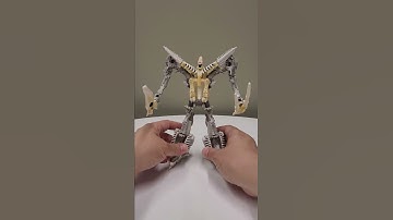Double Ractonite and Wingfinger Fusion