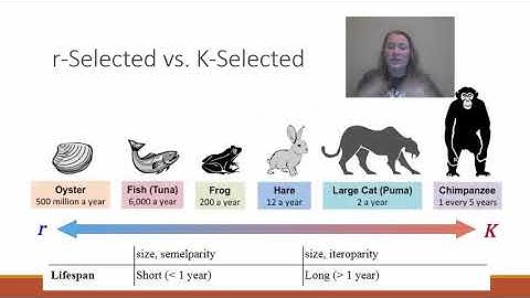 AP Env Sci Topic 3.2 "K-selected and r-selected species"