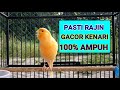 Kenari Gacor Roll Panjang Jeda Rapat Ampuh Pancing Kenari Macet Jadi Bunyi Terbukti Hanya Detik Mp3 - Mp4 Download
