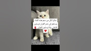 استمع اقل من دقيقه للقران الكريم